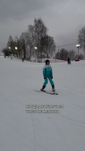 Зимний кадр из профиля Натальи Березовской